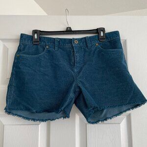 Dogtown Shorts 4" Size 6 Turquoise Blue Casual Carve Designs